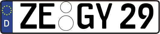 ZE-GY29