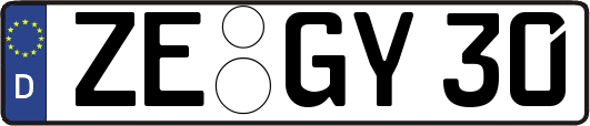 ZE-GY30