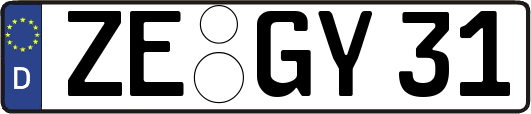 ZE-GY31