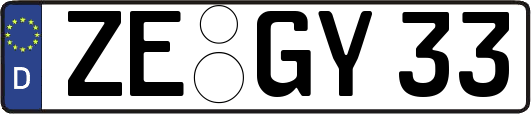 ZE-GY33