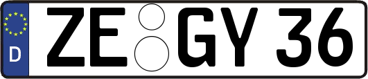 ZE-GY36