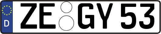 ZE-GY53