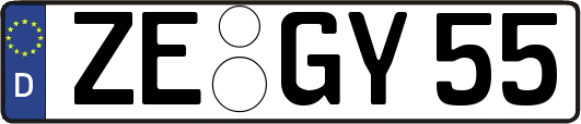 ZE-GY55
