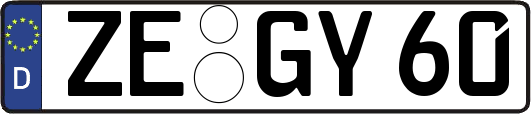 ZE-GY60