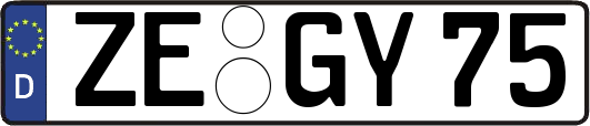 ZE-GY75