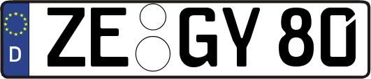 ZE-GY80