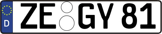 ZE-GY81