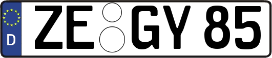 ZE-GY85