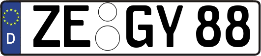 ZE-GY88