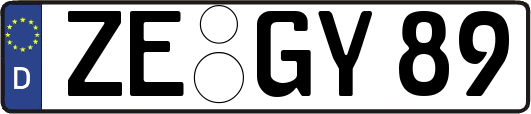 ZE-GY89