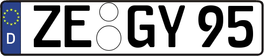 ZE-GY95