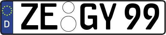 ZE-GY99