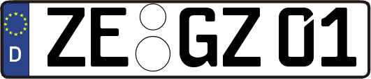 ZE-GZ01