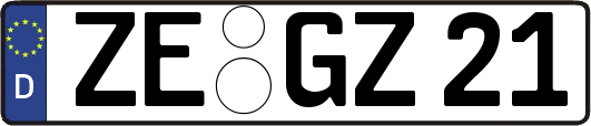 ZE-GZ21