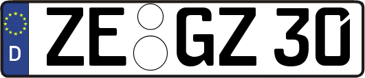 ZE-GZ30