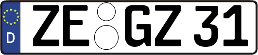 ZE-GZ31
