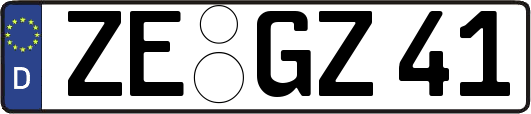 ZE-GZ41