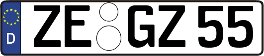 ZE-GZ55