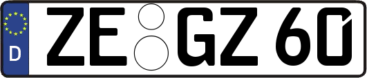 ZE-GZ60