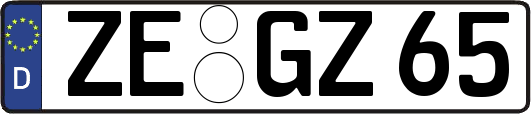 ZE-GZ65