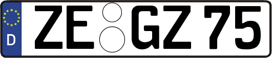 ZE-GZ75