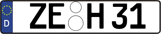 ZE-H31