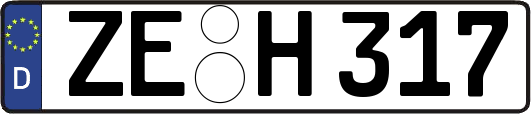 ZE-H317