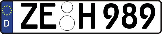 ZE-H989