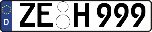 ZE-H999