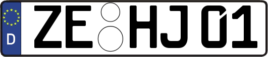 ZE-HJ01