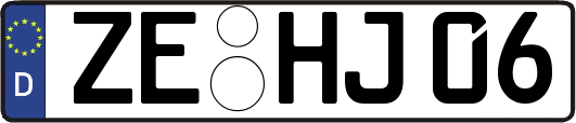 ZE-HJ06