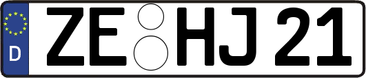 ZE-HJ21