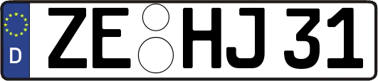 ZE-HJ31
