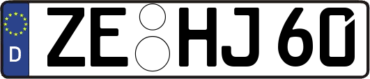 ZE-HJ60