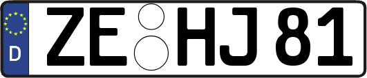 ZE-HJ81