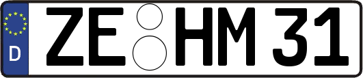 ZE-HM31