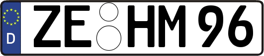 ZE-HM96