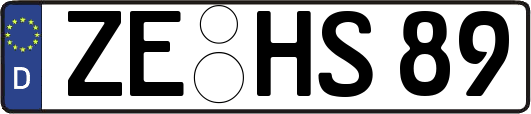 ZE-HS89