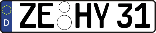ZE-HY31