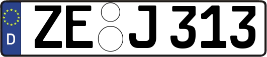 ZE-J313
