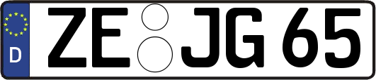 ZE-JG65