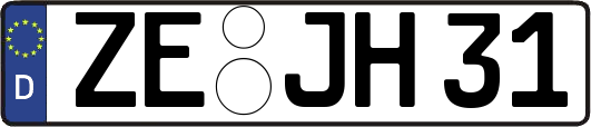 ZE-JH31