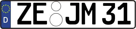 ZE-JM31