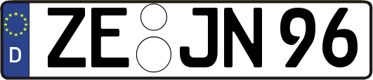 ZE-JN96