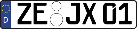 ZE-JX01