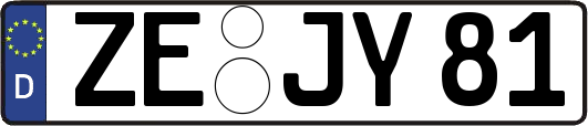 ZE-JY81