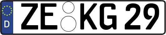 ZE-KG29
