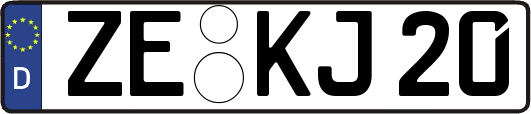 ZE-KJ20