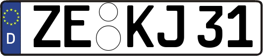 ZE-KJ31