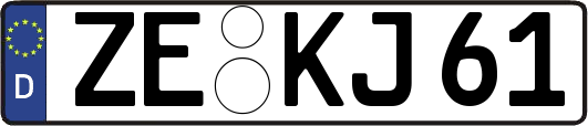 ZE-KJ61
